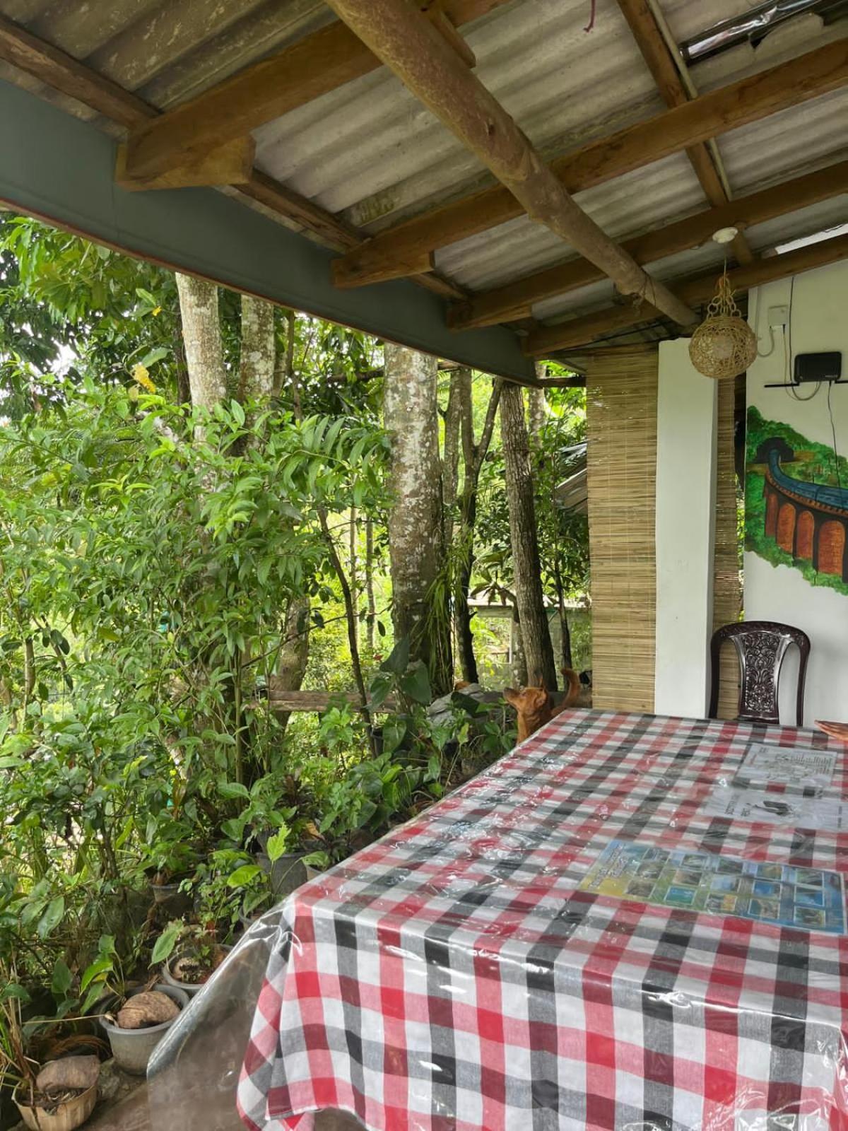Himansa Homestay Ella Exterior foto